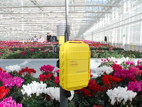 Measuring PAR light in Greenhouses